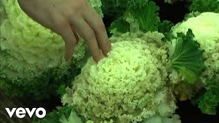 Las Plantas De La Terraza Music Video