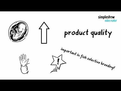 Fish speciation genome project