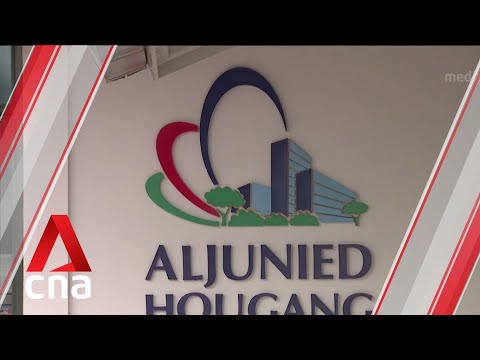 MND reviewing AHTC's response on non-recusal of Sylvia Lim, Low Thia Khiang