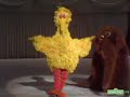 Classic Sesame Street Big Bird Snuffy Ice Skating