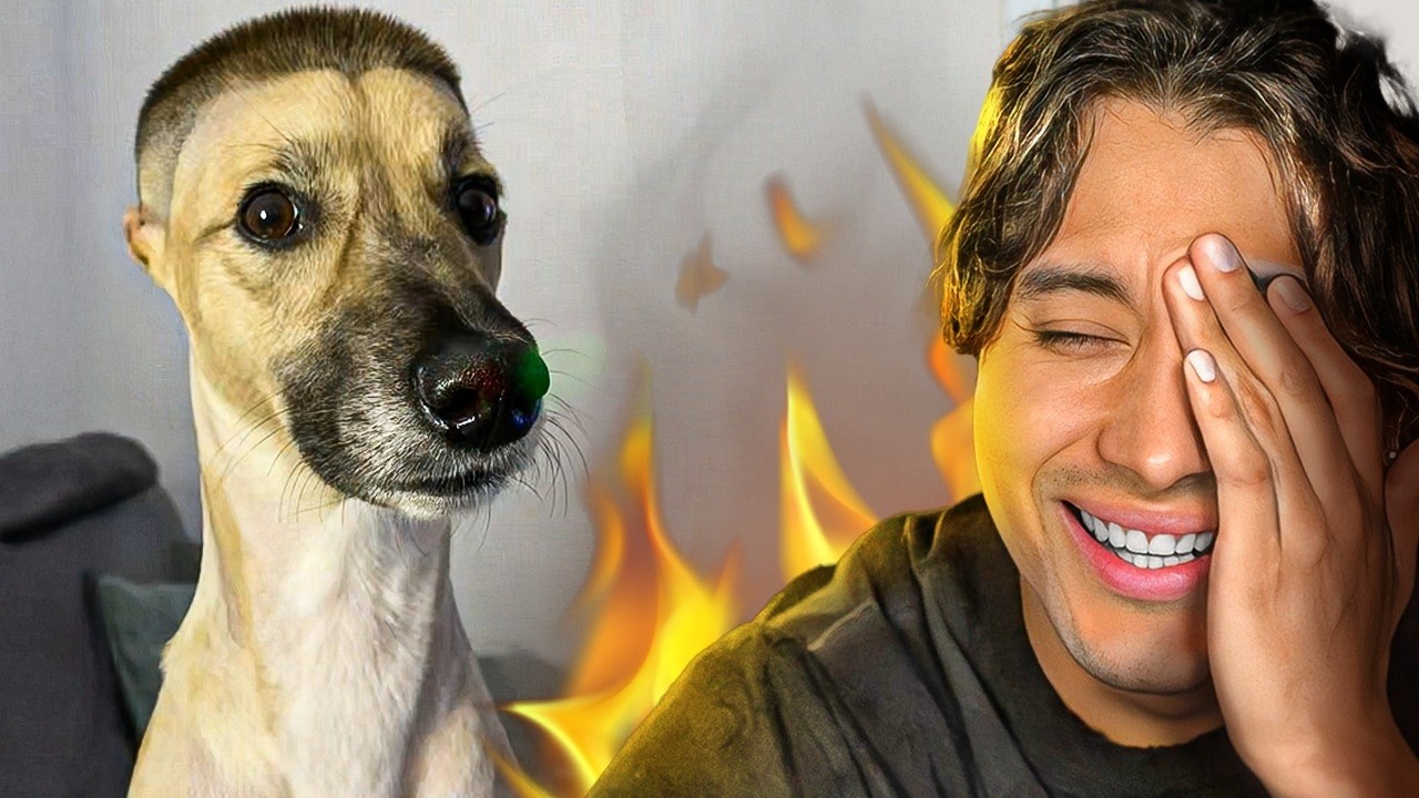 ROSTEANDO a las mascotas de mis seguidores 😡