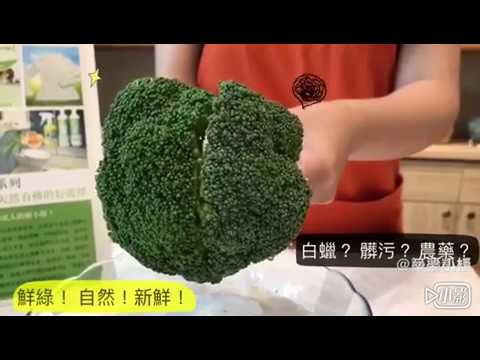 【築夢小棧】ecologic 勁環保 蔬果清洗劑