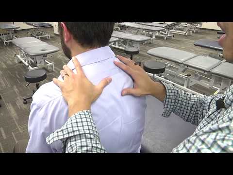 Thoracic Soft Tissue/MFR Muscle Energy/HVLVA - Osteopathic Considerations for Shoulder Pain