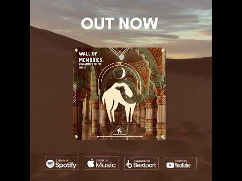 Muhammed Felfel - Wall of Memories (Original Mix)