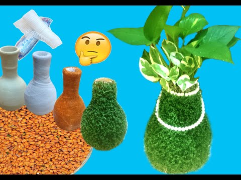 Grow Hedge Mustard Green seed Earthenware time lapse
