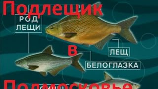 Платная рыбалка в подмосковье лещ