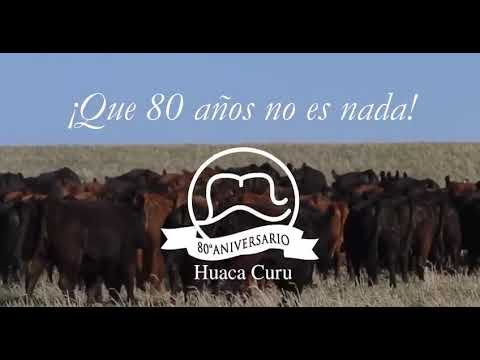 Remate Huaca Curu 2020