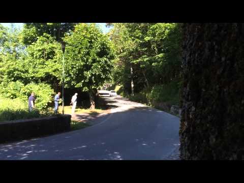 Rally degli Abeti 2014