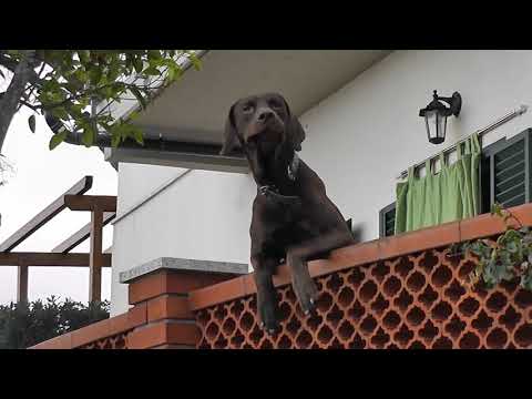 Gruppo trekking Tripetetolo: Elba-Rio Marina, dicembre 2017.