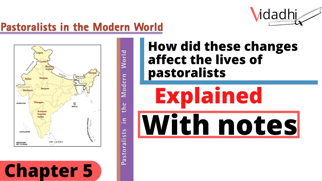How did these changes affect the lives of pastoralists | pastoralists in The Modern World | class 9