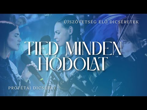 Tied minden hódolat