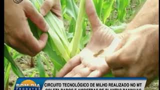 Miniatura do vídeo