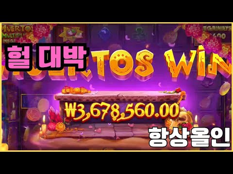 [슬롯][제보영상][닉네임:항상올인]2547배