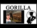 Can 100 Men Beat One Gorilla
