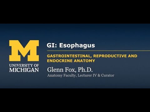 GI: Esophagus
