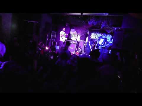 Los Revolucionarios live at Chimpyfest 2017