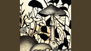 Missing Link (Bonus track)