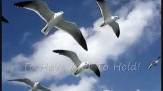 Don McLean-To Have And To Hold with Lyrics
