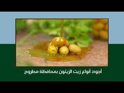 محافظة القاهرة تستضيف معرض كنوز مطروح| صور وفيديو 