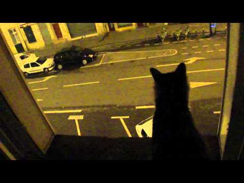 70-One minute of videoart every day - Ils regardent la nuit