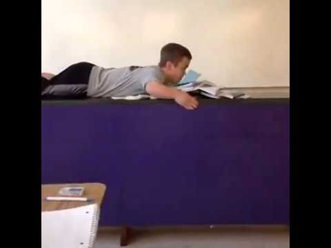 Dwarf Mamba Vine Dwarf dozer