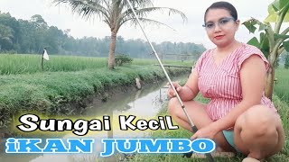 Download lagu Mancing di sungai sawah pedesaan di temani embun pagi yang sejuk dan pemandangan yang indah mp3