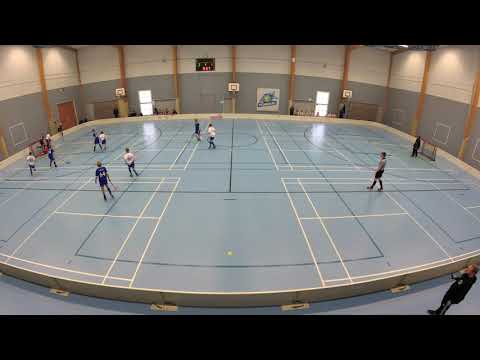 D1-POJAT VÄLISARJA Tiikerit Sininen - EräViikingit North