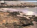 Tsunami At Kanyakumari Tamil Nadu India Boxing Day 2004 Video 2