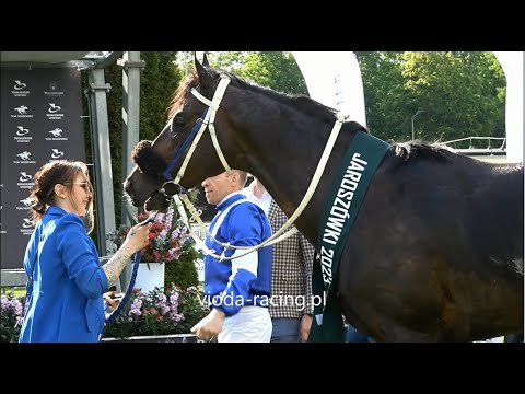 Gon. IV (N. Jaroszówki) - 13.05.2023 -  Quibou (Air Chief Marshal - Kilava)