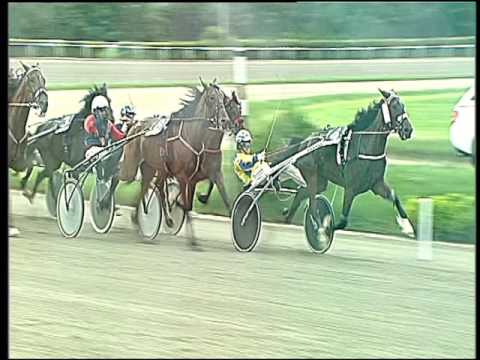 Trotto 20/05/2016 - 1° corsa