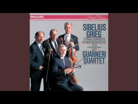 Grieg: String Quartet in G minor, Op. 27 - 1. Un poco andante - Allegro molto ed agitato