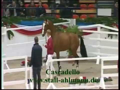 Cascadello Freispringen