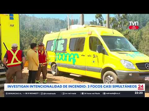 Incendio consume 70 hectáreas en Constitución | 24 Horas TVN - Red Maule