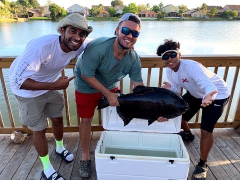 GIANT PIRANHA CAUGHT IN NEIGHBORHOOD POND ft CATCH EM ALL FISHING