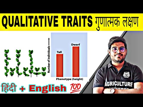 defination allopolyploid allopolyploid kya hai allopolyploid in hindi what is allopolyploid