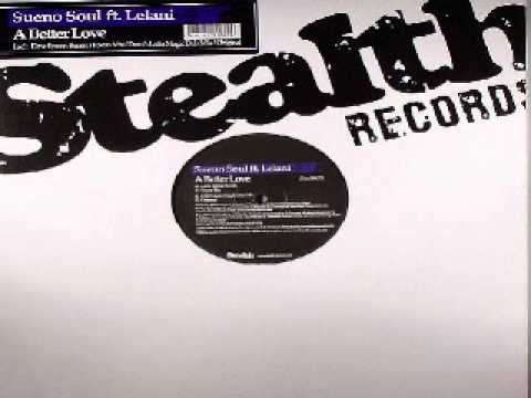 Sueno Soul ft. Lelani ‎-- A Better Love