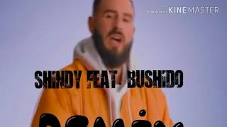 Statements remix-shindy Feat. Bushido
