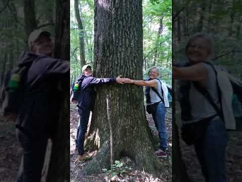 Green Bridges   one day trip to Poiana cu schit