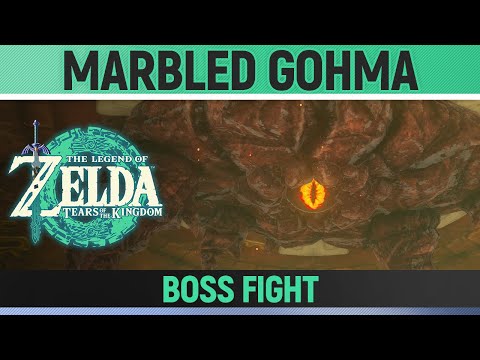 Zelda: Tears of the Kingdom - Marbled Gohma Boss Fight