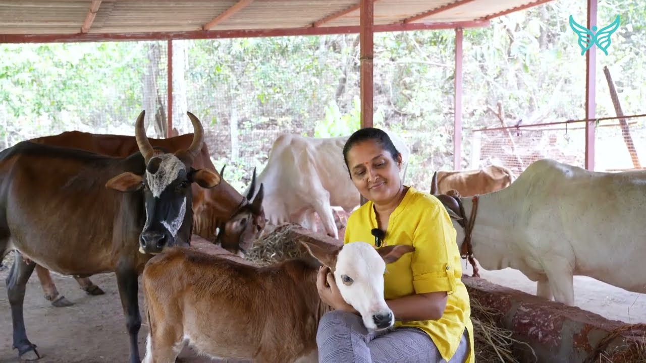 निगेटिव्ह परिस्थितीतून स्वतःचे विश्व निर्माण करणाऱ्या हरचीरीच्या "DP" ची कहाणी ..!