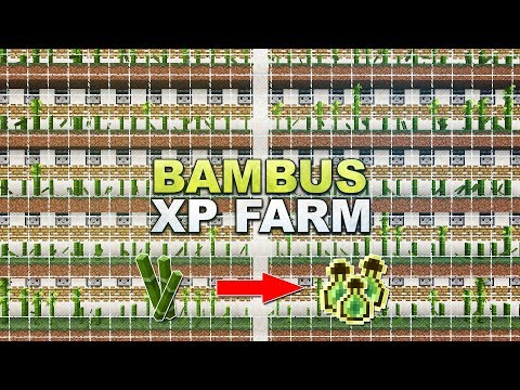 Minecraft - Bambus XP-Farm (Keine MONSTER benötigt!) - Tutorial 1.17