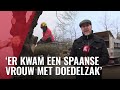 Monumentale kastanjeboom gekapt