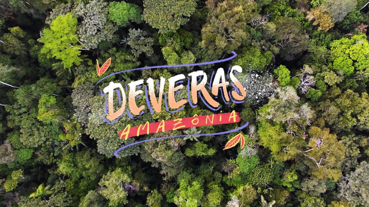 A floresta em conserva, conserva a floresta