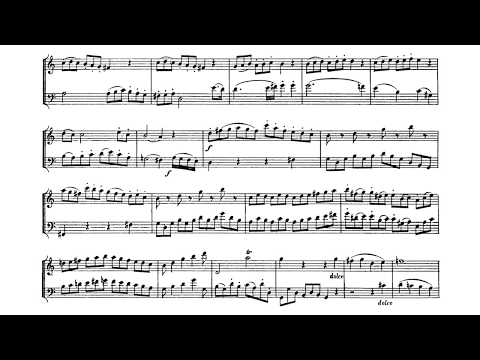 Ludwig van Beethoven - Duets for Clarinet and Bassoon, WoO 27 audio+sheet music