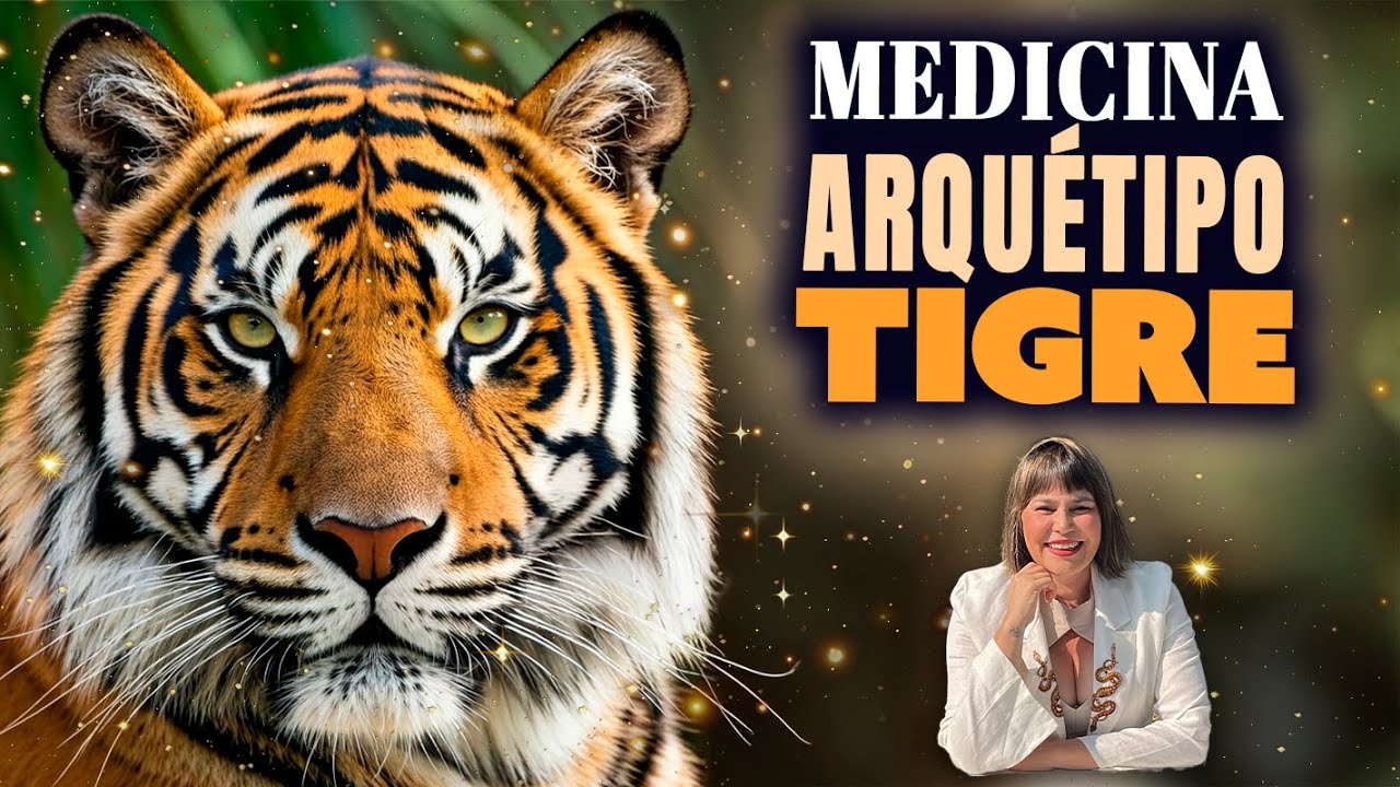 Medicina e meditação do Tigre