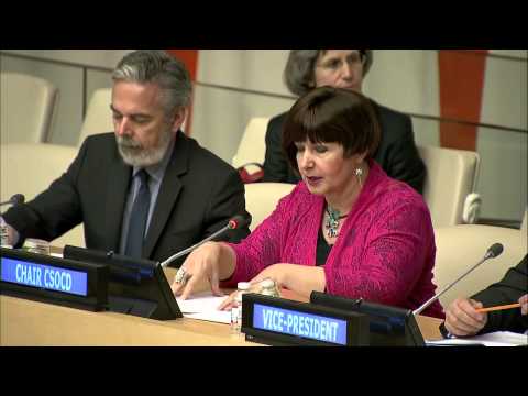 H.E. Ambassador Simona Mirela Miculescu: Assessing progress 20 Years after Beijing & Copenhagen