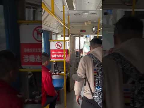 Xe Bus Điện Trung Quốc như thế nào.#hakhau #vietuptravel