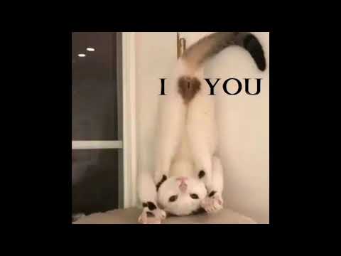 [free] guardin x scum x demxntia x sadeyes type beat "i want to forget"