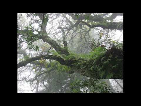 FREE post punk x ekkstacy x eyedress type beat "70s"