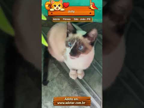 Vídeo de Jully